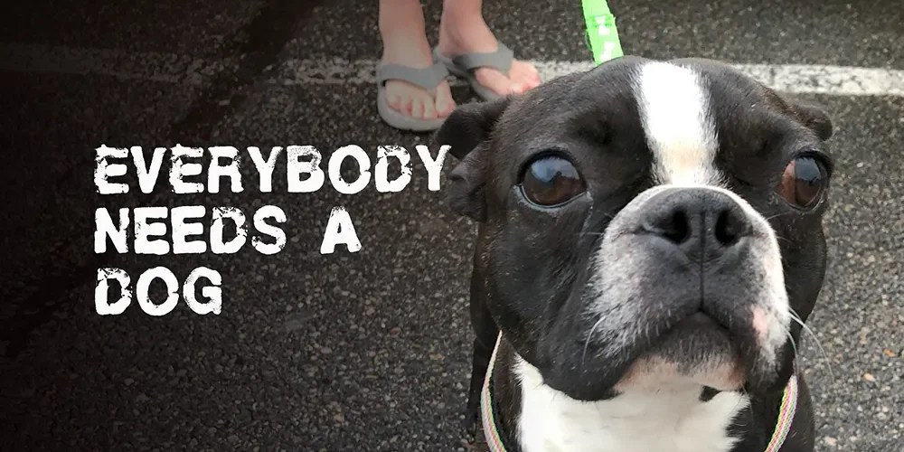 Spyderhuff - Everybody Needs A Dog EP