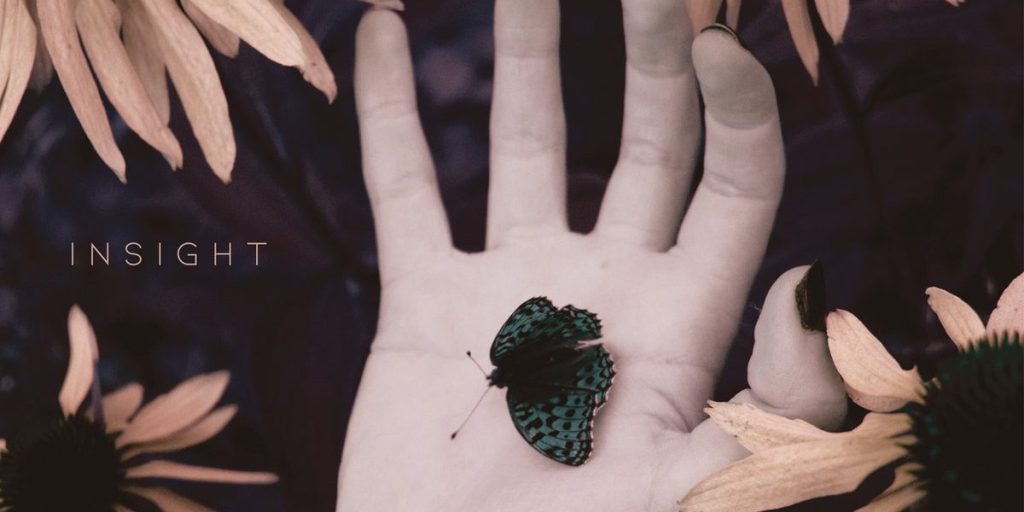 Mayflower Madame –&nbsp;Insight