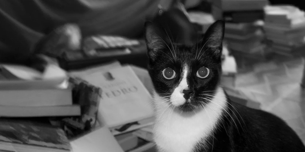 Michele Ducci – It’s Hard To Be Easily&nbsp;Loved