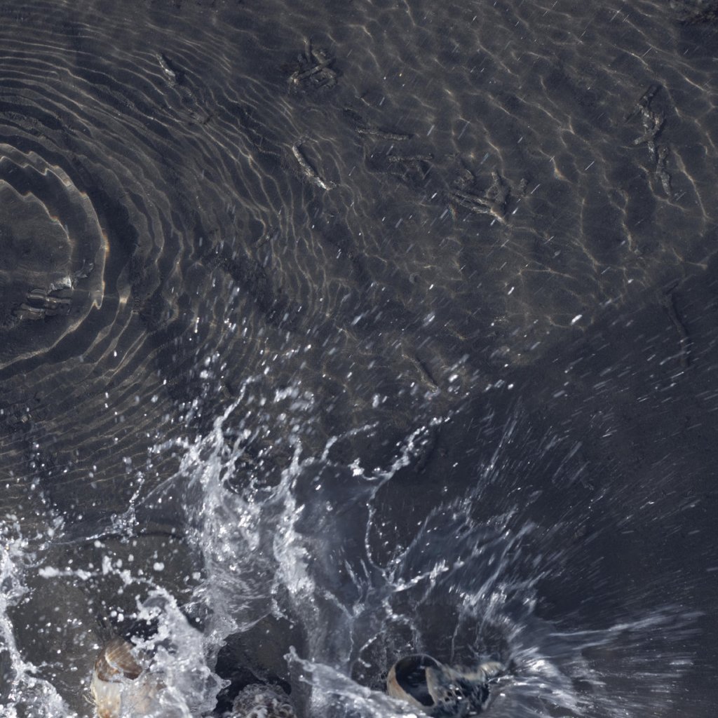 of all living things - Cold Plunge 12" EP - Blowtorch Records