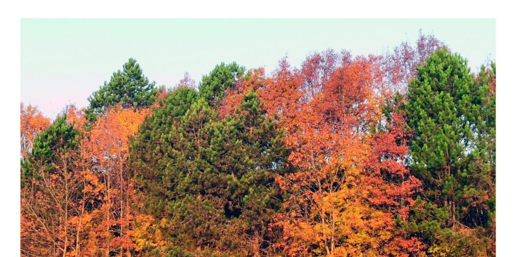 Omsorg – Moments, Movements LP (Nasty Cut&nbsp;Records)