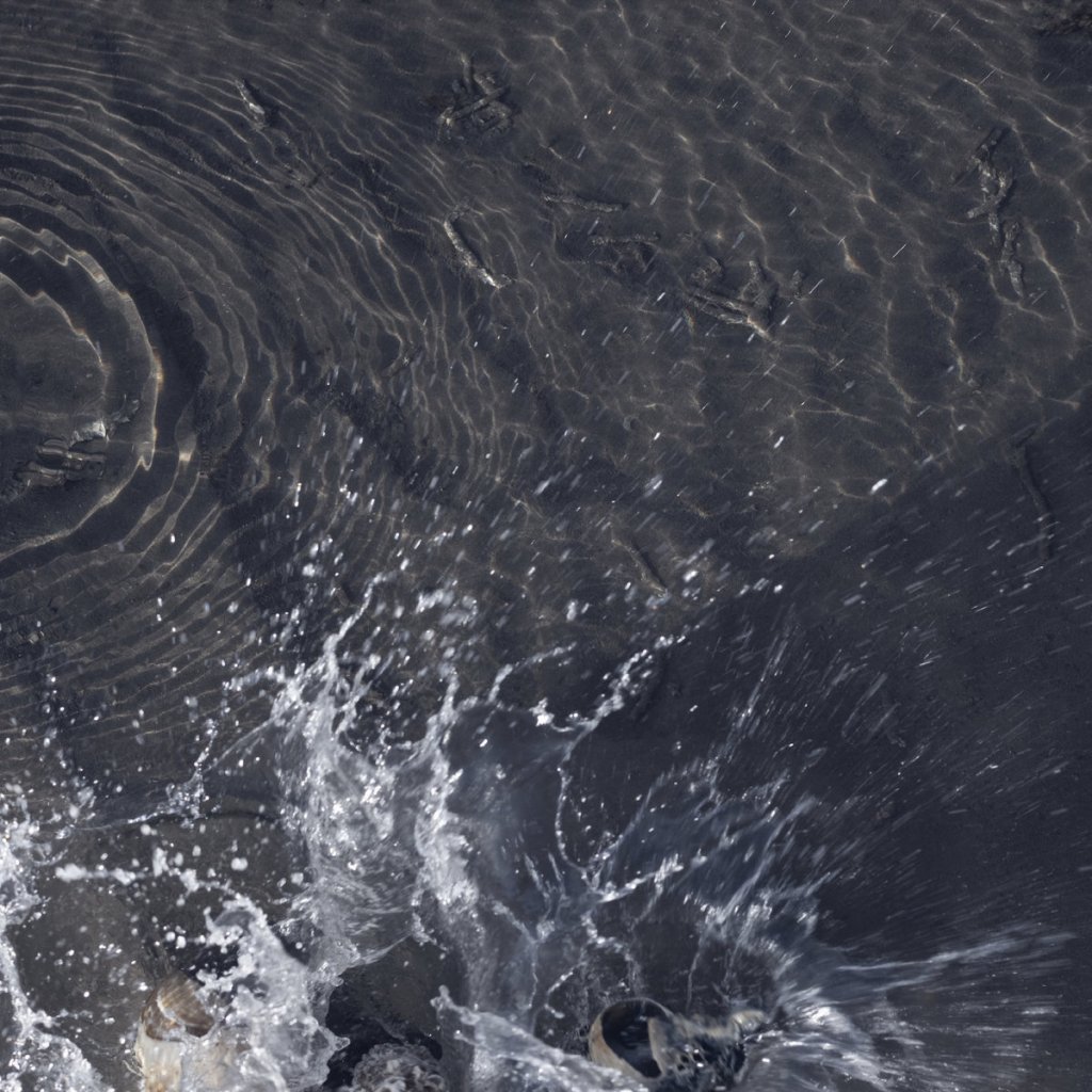 of all living things - Cold Plunge 10" (Blowtorch Records)
