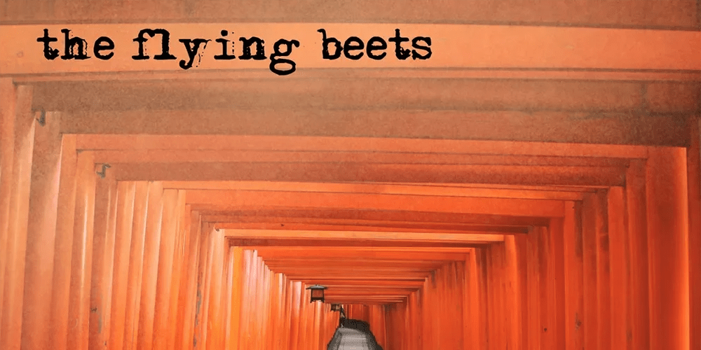 The Flying Beets – Don’t Let Me Notice