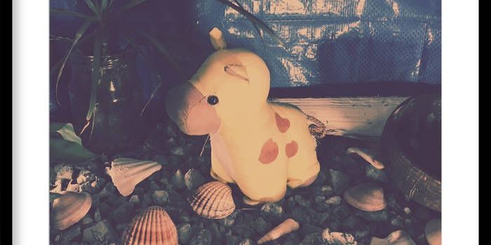 Musiikkiteatteri Hukupuklus Released Their Last Album “Hauhuu”