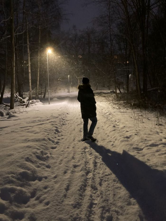 Arn-Identified Flying Objects and Alien Friends