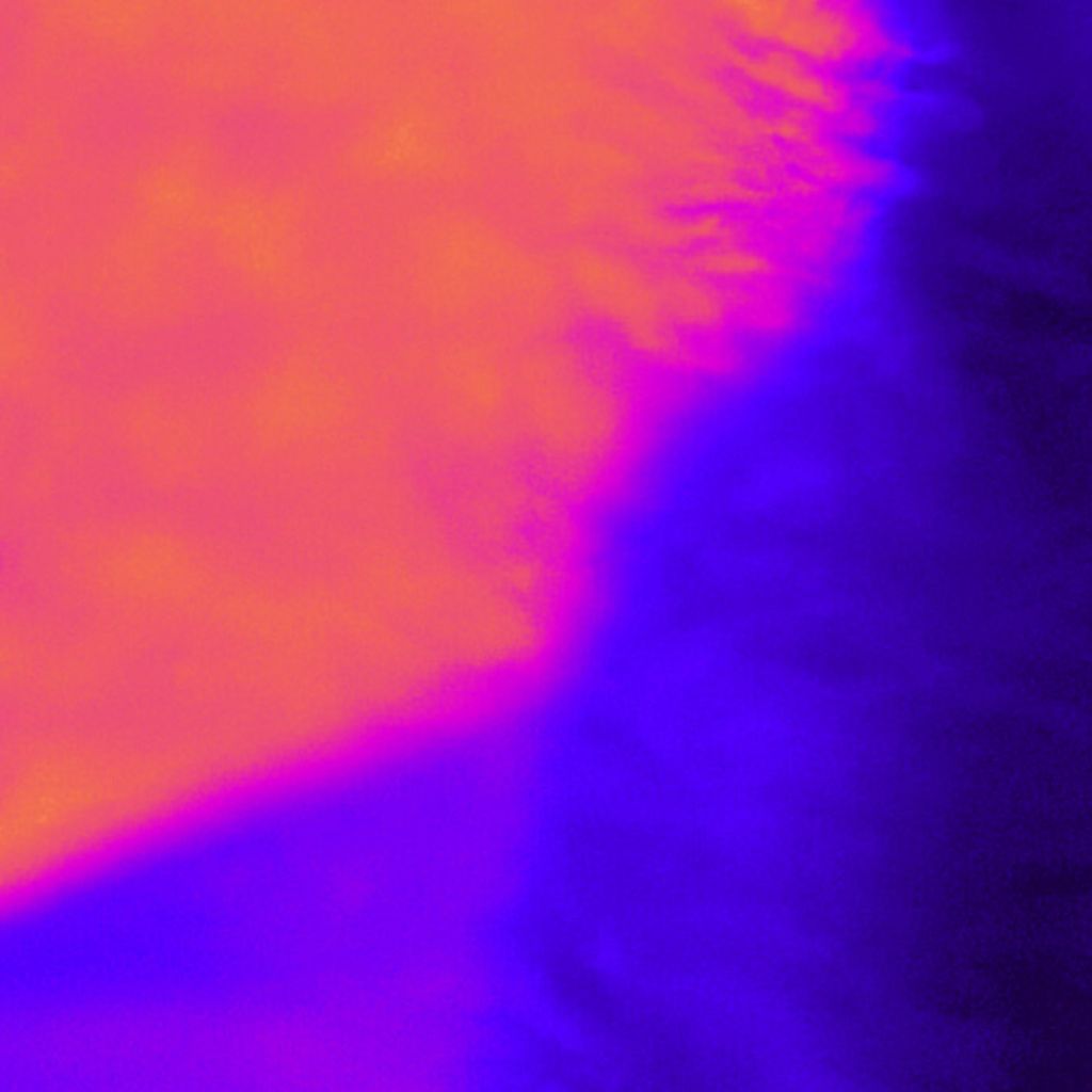 Koalra - In A Weird Way