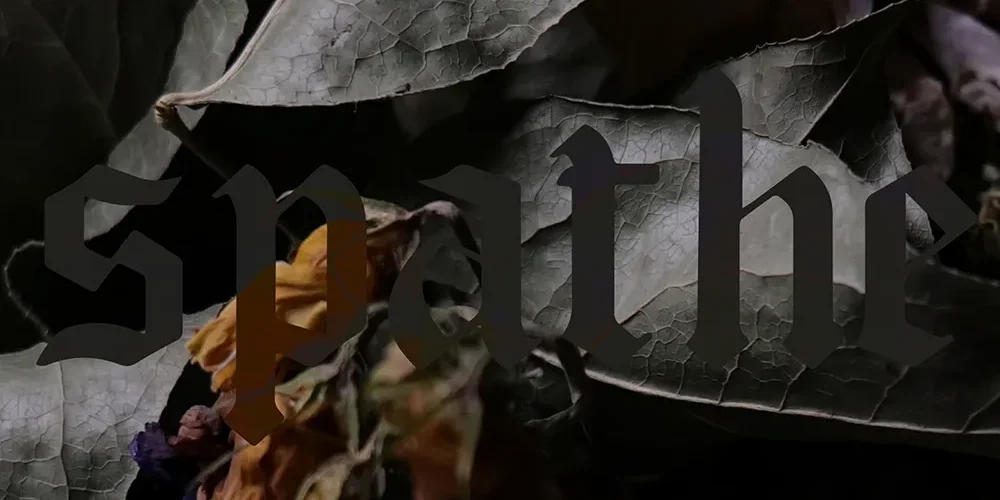 Spathe - Colourblind