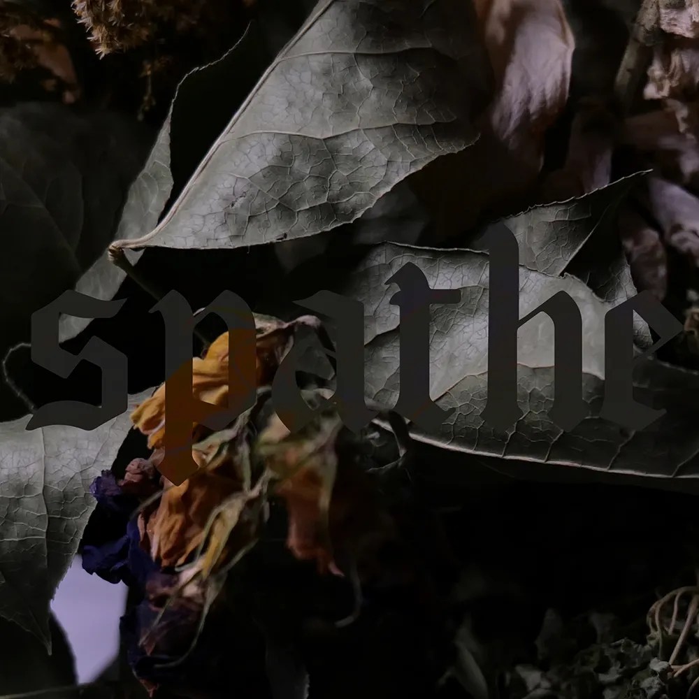 Spathe - Colourblind