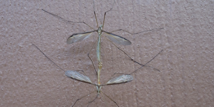 Poke A Brain - Love, Resentment & Mortality