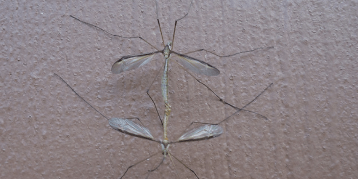 Poke A Brain – Love, Resentment & Mortality