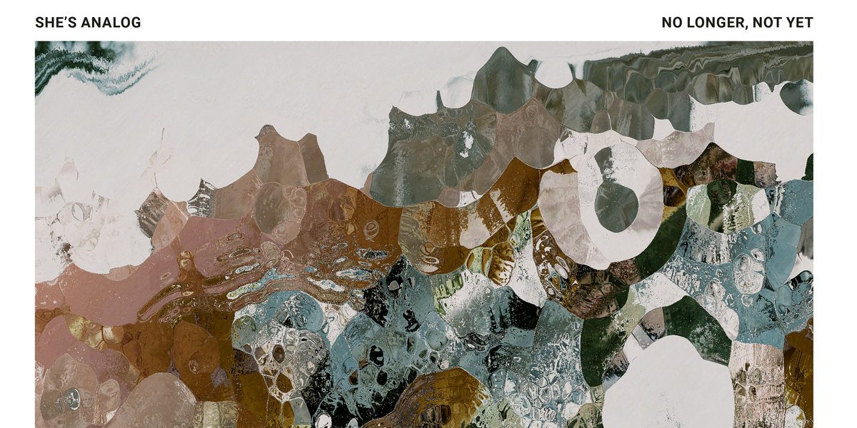 She's Analog - Not Longer, Not Yet