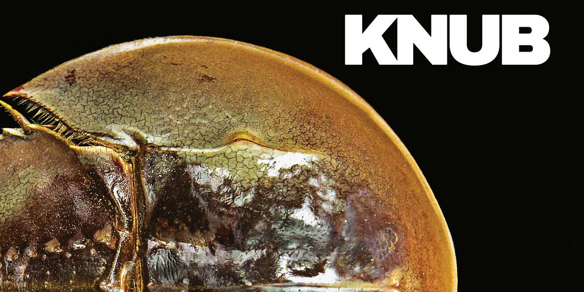 Knub - Crub LP - Expert Work Records