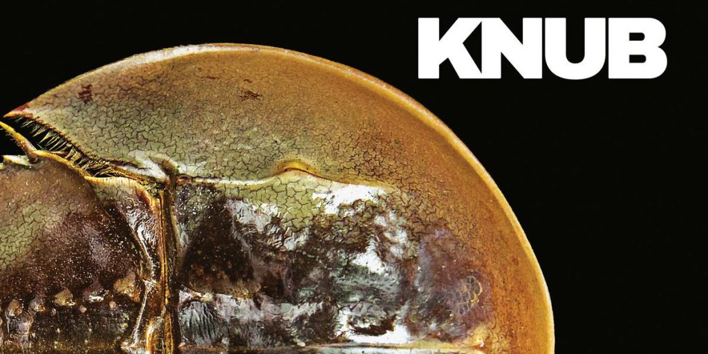 Knub – Crub LP (Expert Work&nbsp;Records)