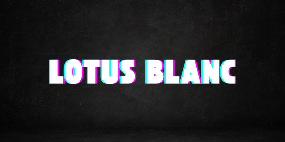Paulo And The Problems – Lotus Blanc (feat. Dude&nbsp;Low)