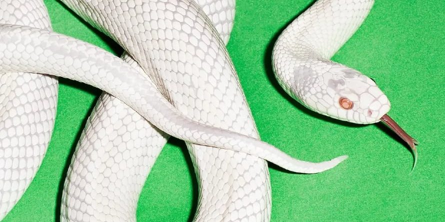 Deftones - my mind is a mountain