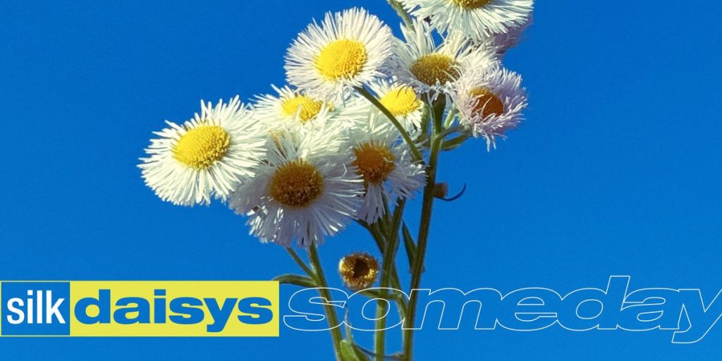 Silk Daisys - Someday