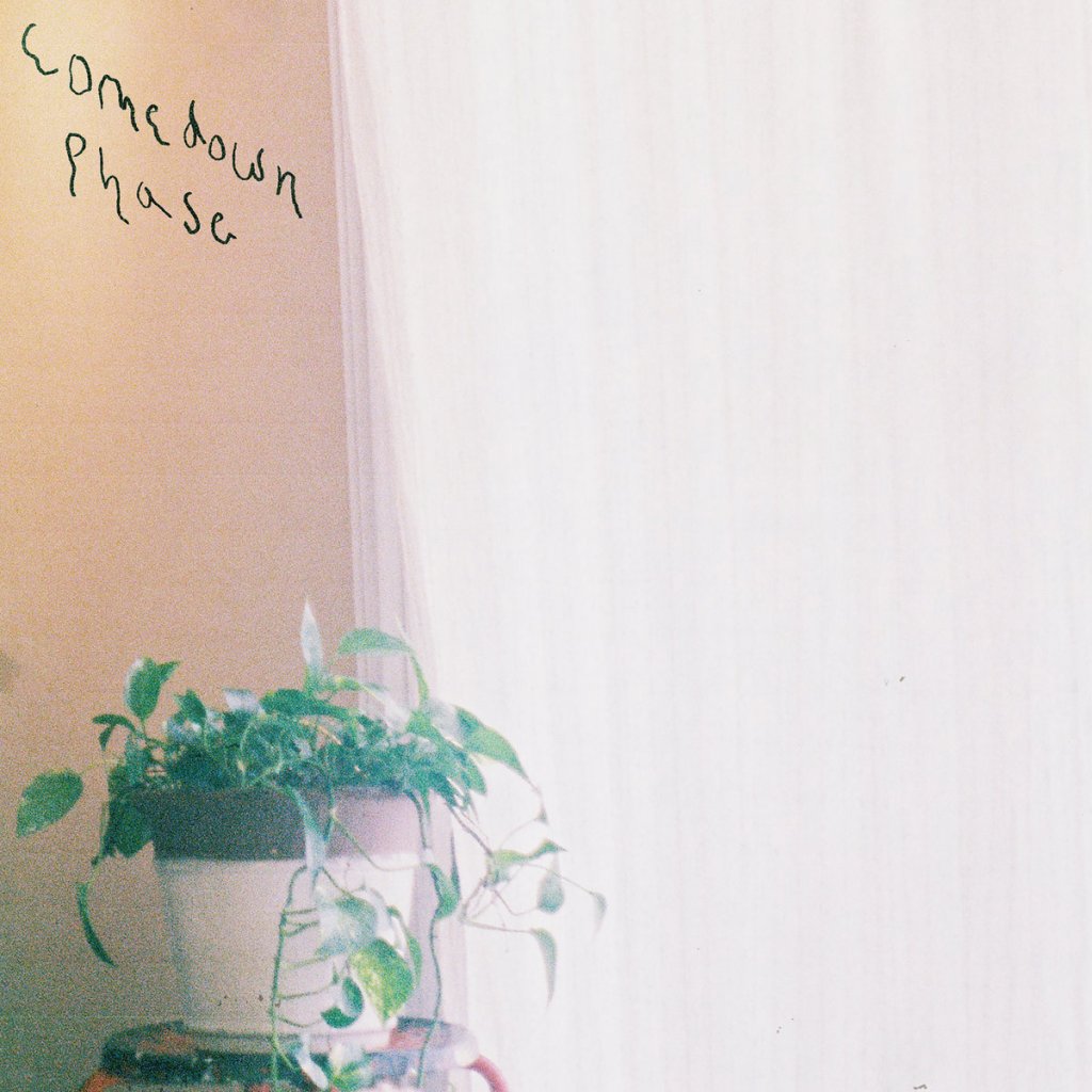 Orchid Mantis - Comedown Phase