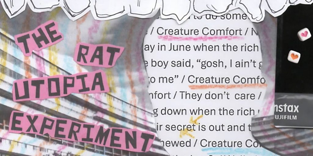 The Rat Utopia Experiment - Creature Comfort