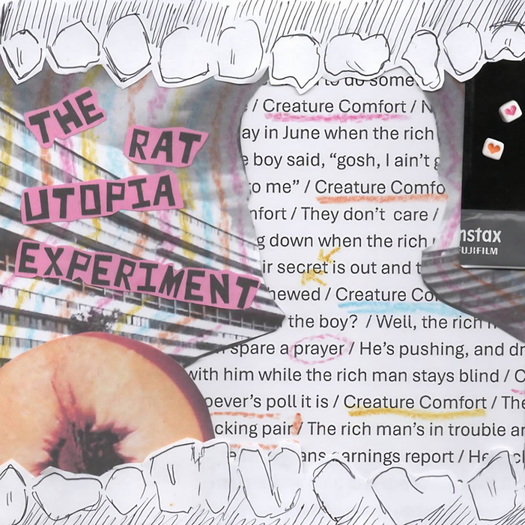 The Rat Utopia Experiment - Creature Comfort