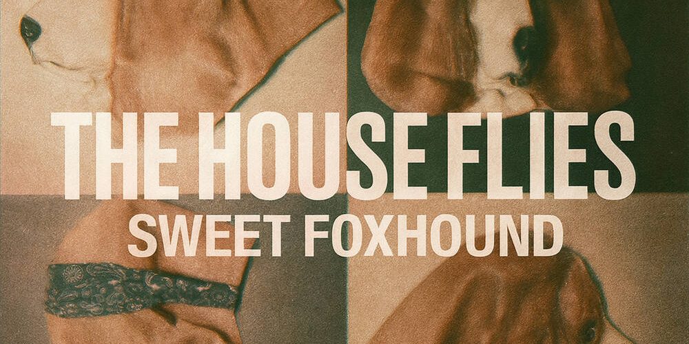 The House Flies- Sweet Foxhound
