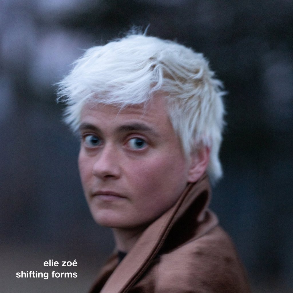 elie zoé - shifting forms CD