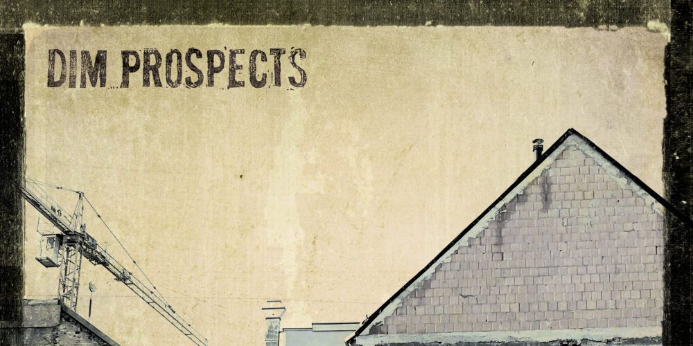 Dim Prospects - Abscheu und Neugier LP - Noise Appeal Records
