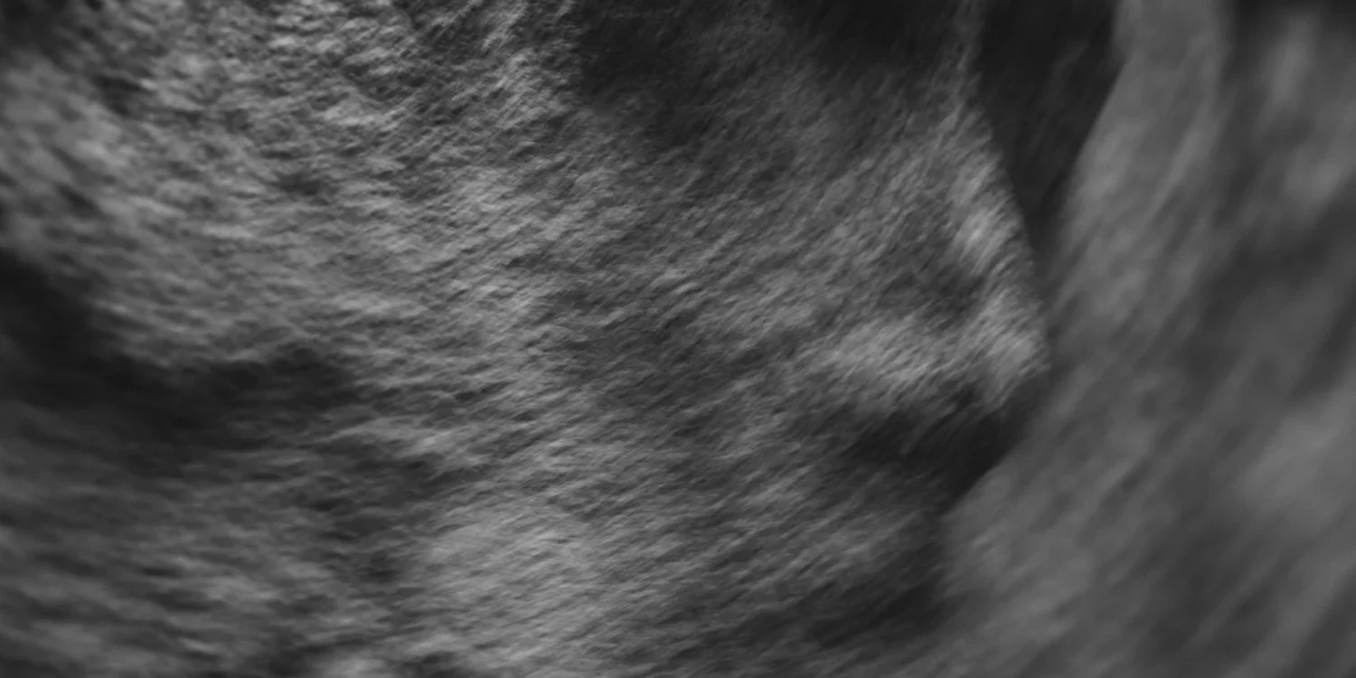 Parlor - Tears For Everything