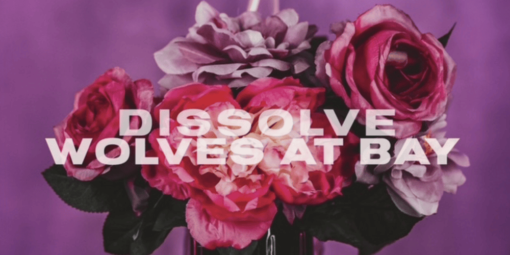 Wolves At Bay - Dissolve