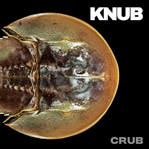 Knub – Crub LP (Expert Work Records)