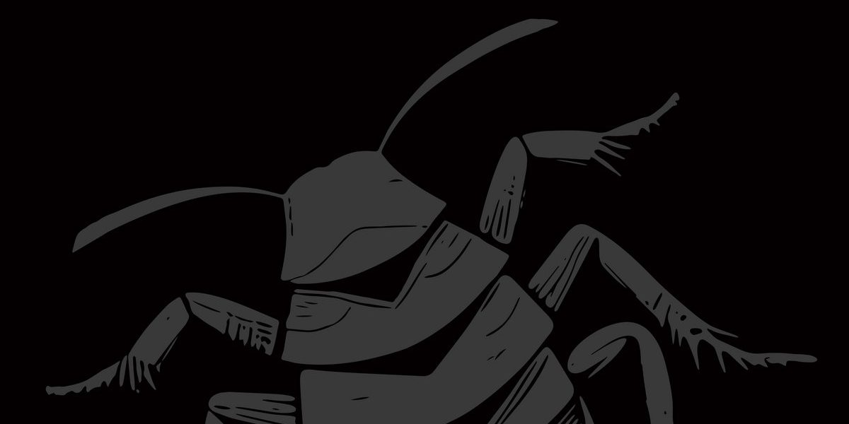 Roach Squad - Roach Squad LP - Little Rocket Records