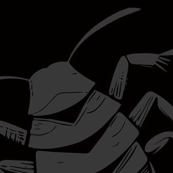 Roach Squad – Roach Squad LP (Little Rocket&nbsp;Records)