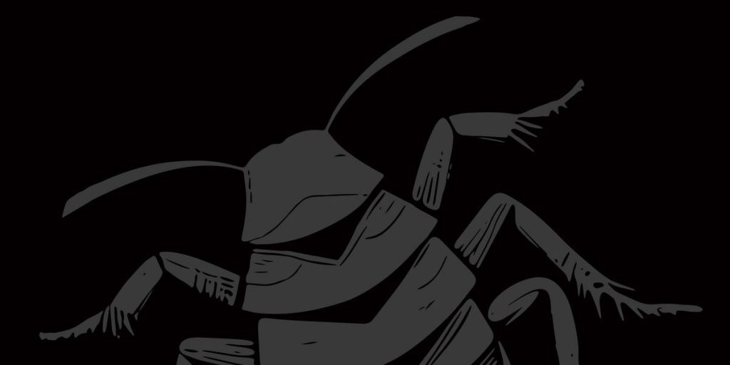 Roach Squad – Roach Squad LP (Little Rocket&nbsp;Records)