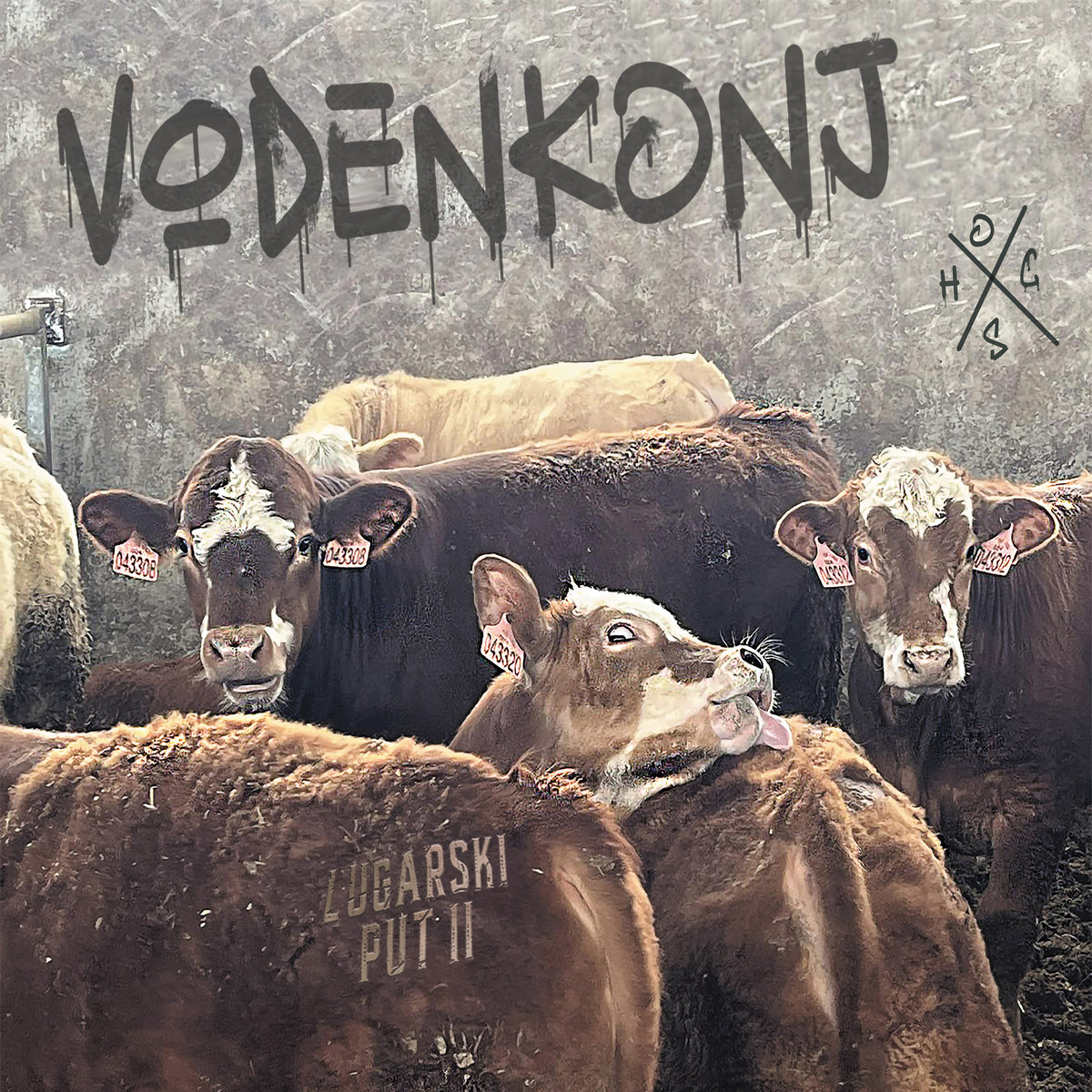 Vodenkonj - Lugarski Put II