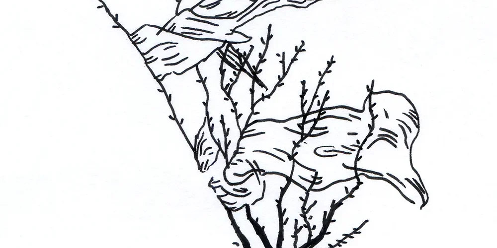 après la mer - Big North