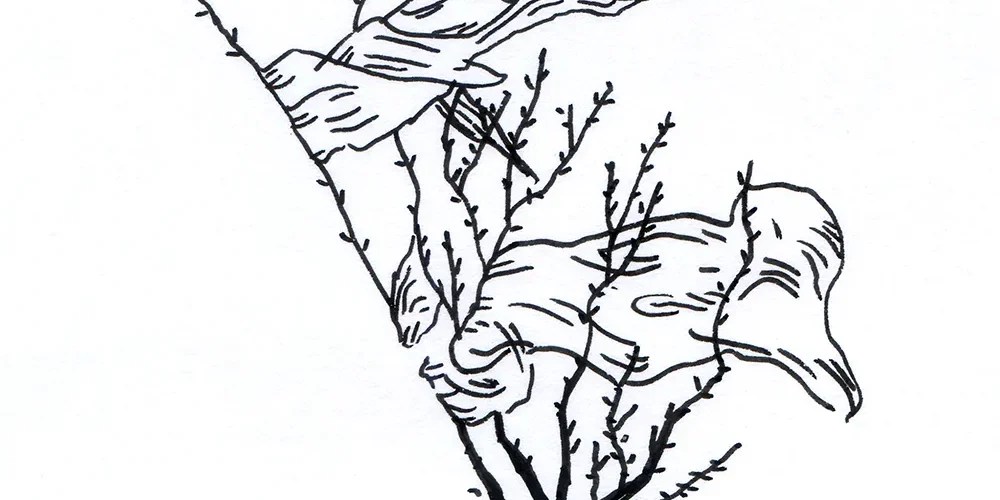 après la mer Unveils New Post-Punk Single “le nord qui&nbsp;gagne”