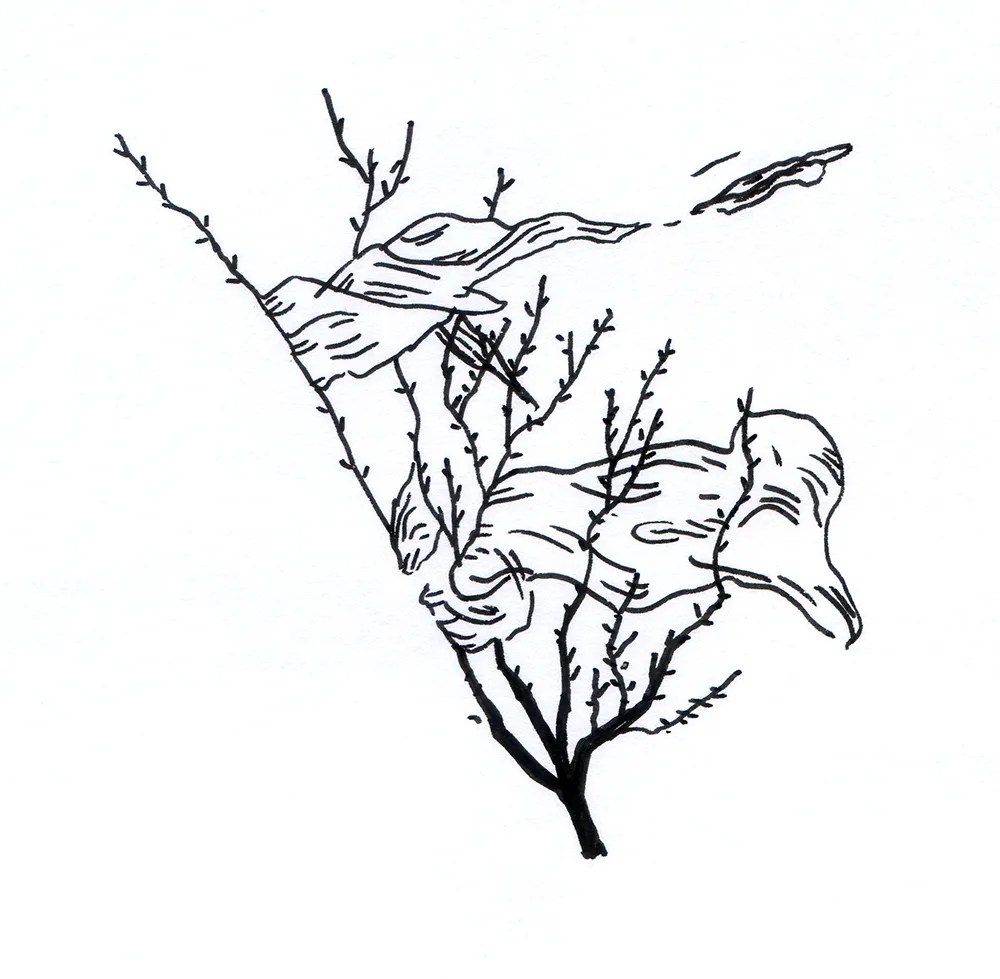 après la mer - Big North