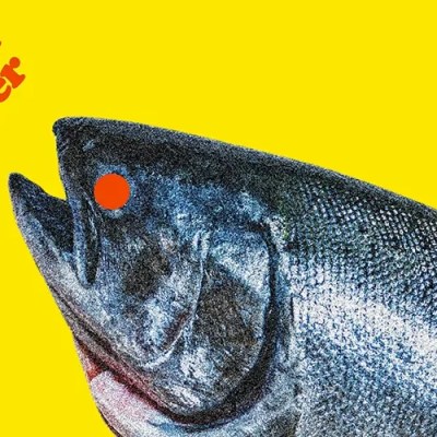 Credible Witness Brings 90s Alt-Rock Sound To “Fish Out Of&nbsp;Water”