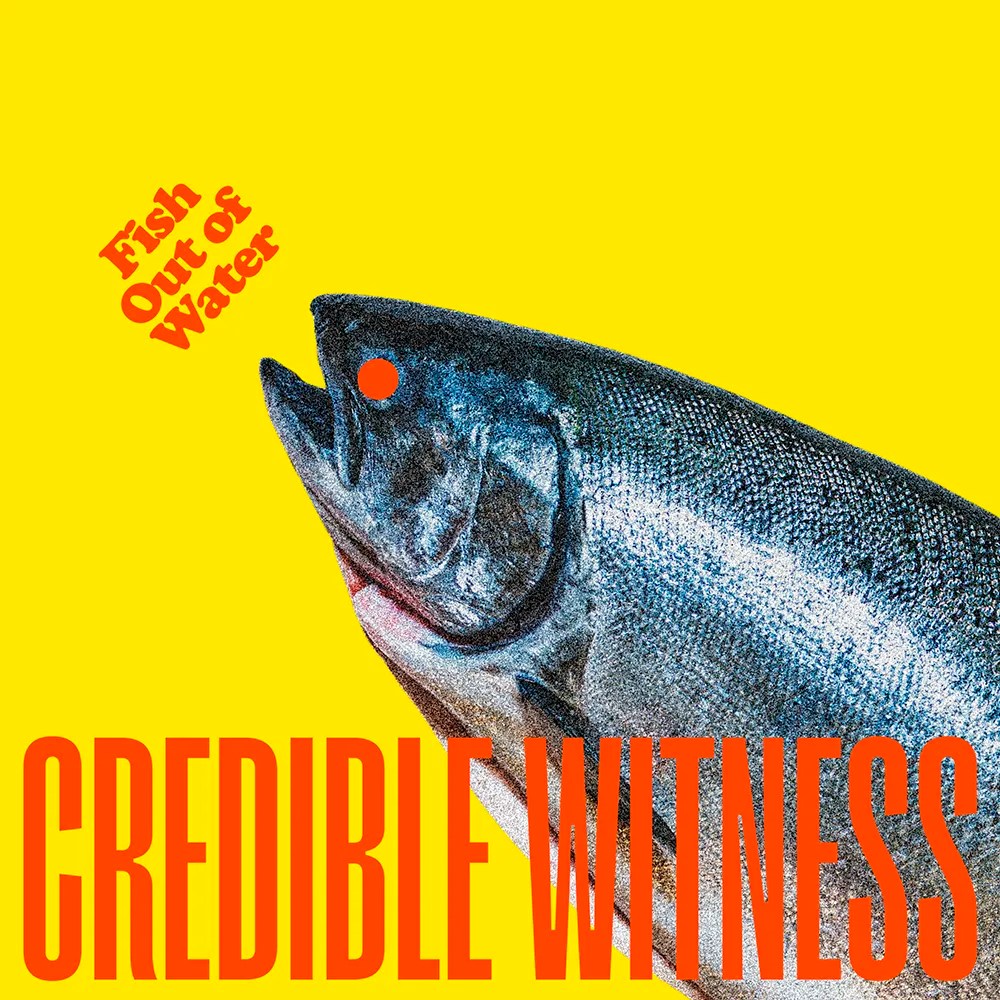 Credible Witness - Fish Out Of Water