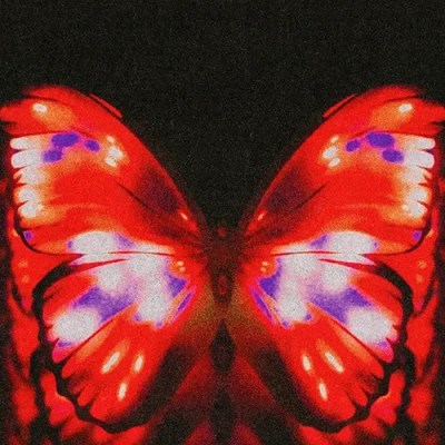 Wotts – little&nbsp;bug