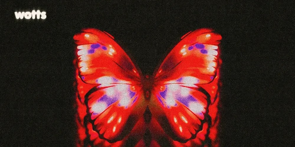 Wotts – little&nbsp;bug