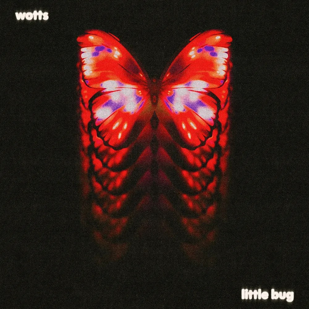 Wotts - little bug