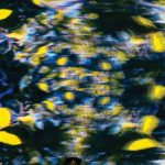 Chaton Laveur - Labyrinthe LP