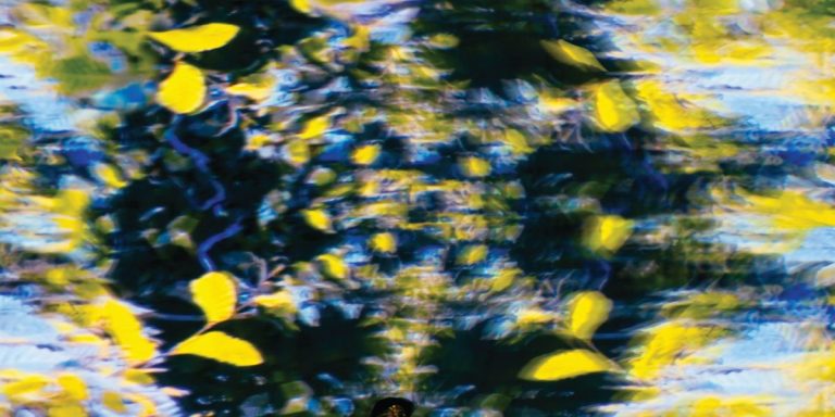 Chaton Laveur - Labyrinthe LP