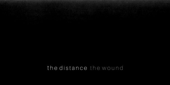 The Distance - Wound LP - Post-Hardcore