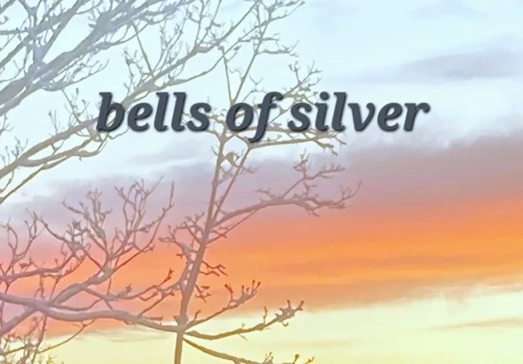 Arn-Identified Flying Objects And Alien Friends - Bells Of Silver”