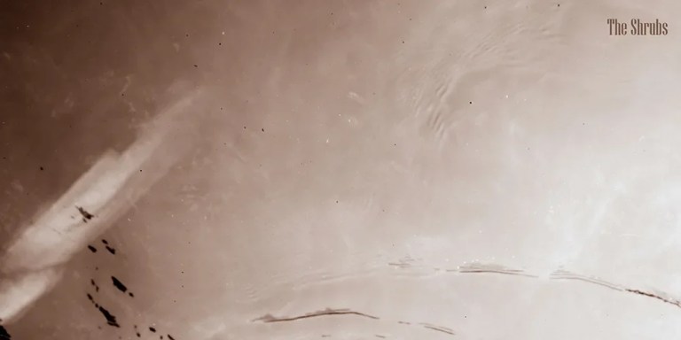 The Shrubs - Let Us In