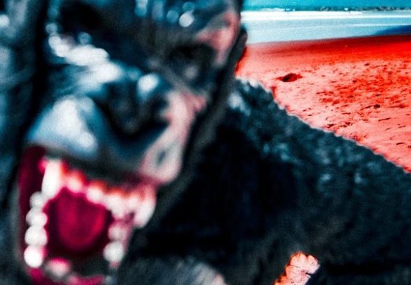 The All-American Rejects - King Kong