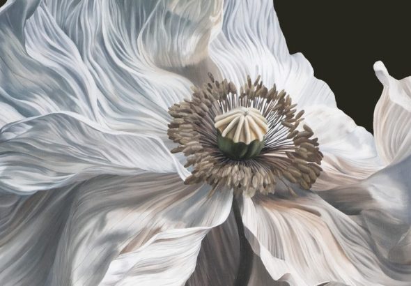 Quicksand - Bring On The Psychics