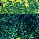 Tabitha Zu - Heard It Before