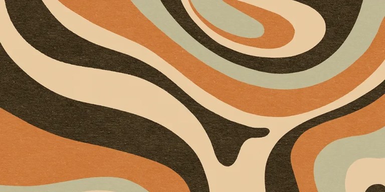 Calico Sun - Fields